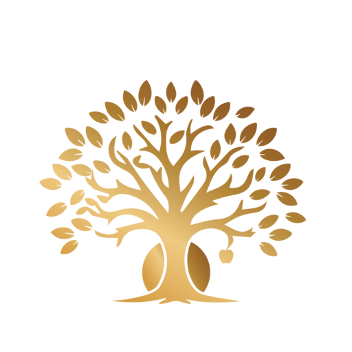 Golden Hour Cider (test)